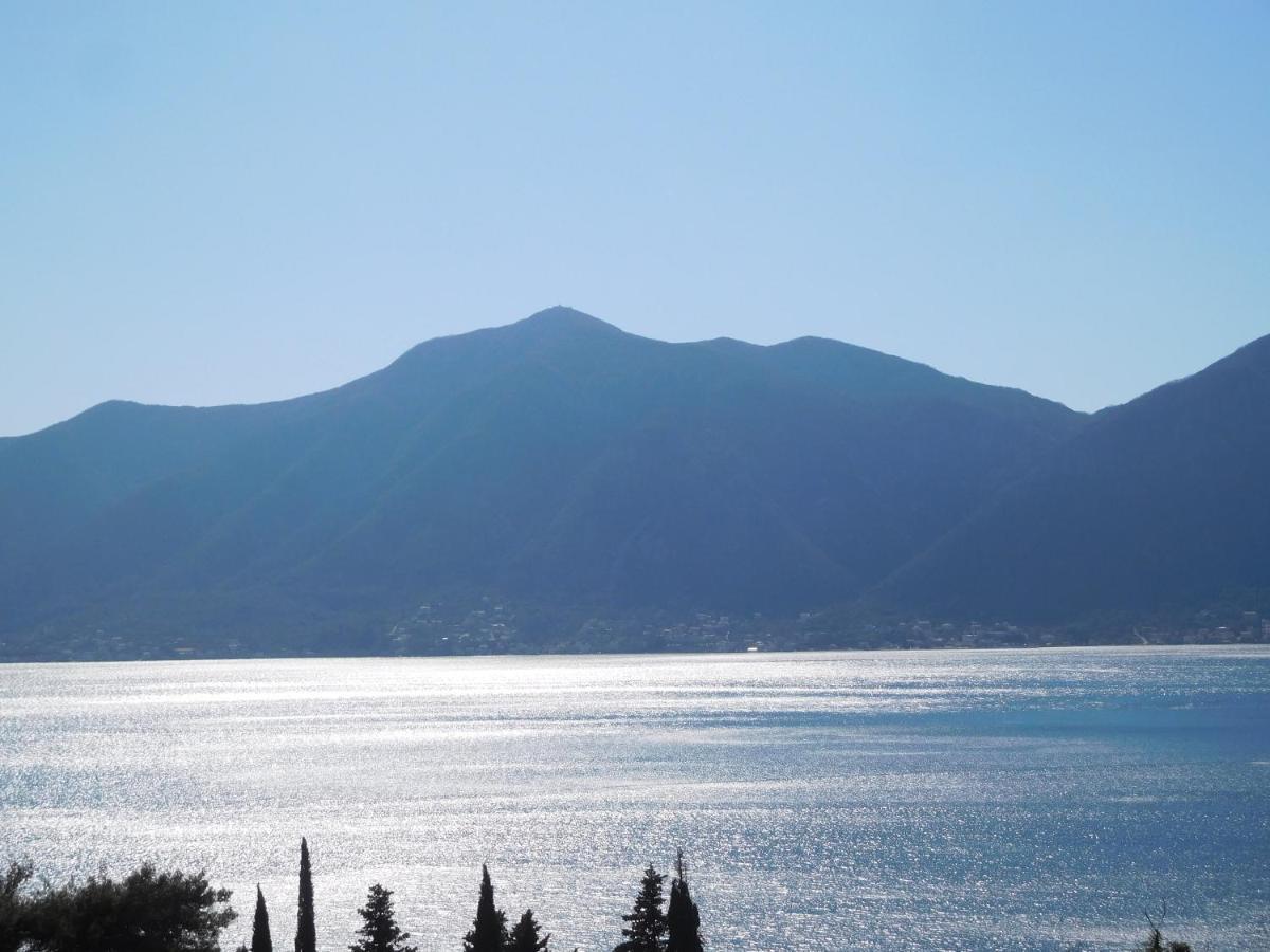 Villa Aronija Kotor Ngoại thất bức ảnh