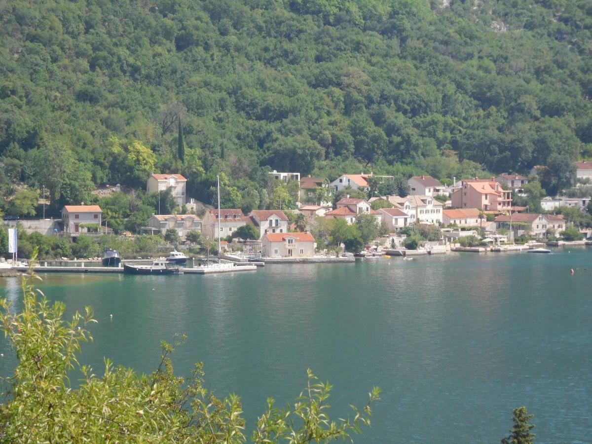 Villa Aronija Kotor Ngoại thất bức ảnh