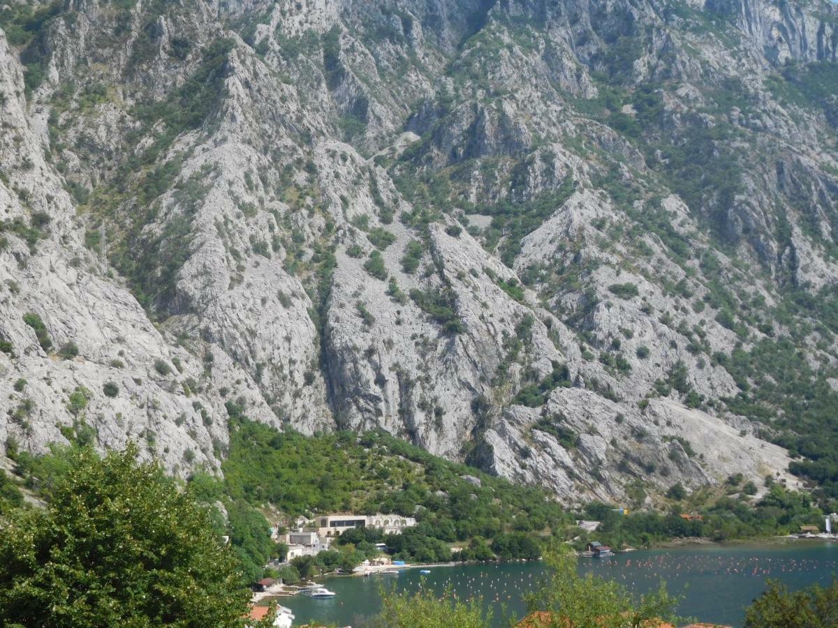 Villa Aronija Kotor Ngoại thất bức ảnh