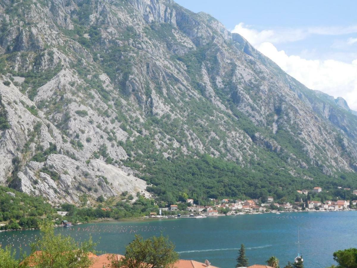 Villa Aronija Kotor Ngoại thất bức ảnh