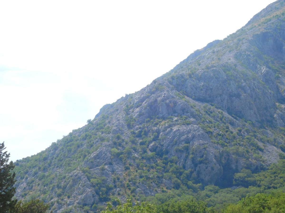 Villa Aronija Kotor Ngoại thất bức ảnh